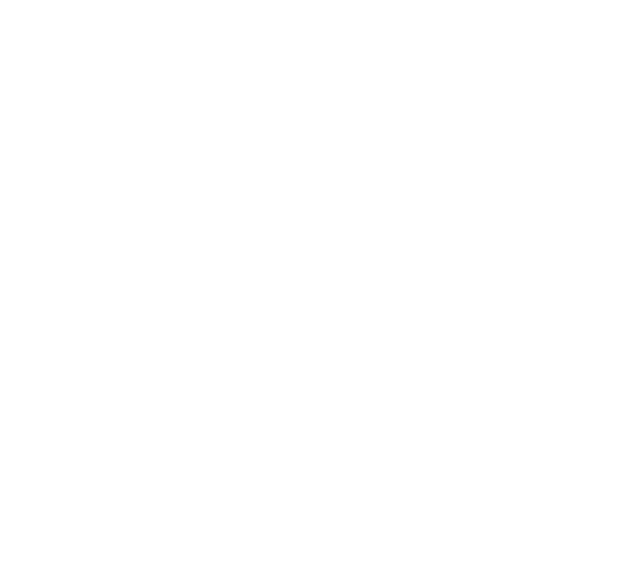 logo ccs